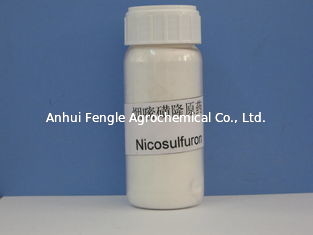 হার্বিসাইড নিকোসালফুরন 97% TC CAS No 111991-0904